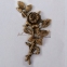 Барельеф розы латунь 17 см P2 3