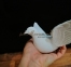 Летящий голубь из синтетического мрамора 6498 Jorda 0