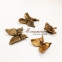 Бабочка из бронзы 29066/04 Caggiati 4
