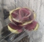 Розы бронза с покраской P2443sx Maste 2