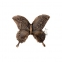 Бабочка из бронзы 29003/06 Caggiati