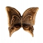 Бабочка из бронзы 29066/04 Caggiati