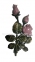 Розы из бронзы с покраской арт.3787 Lorenzi
