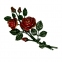 Розы покрашенные 29632 Caggiati