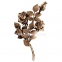 Ветвь роз бронза 3749 sx Lorenzi (Лорензи) 16x30 см